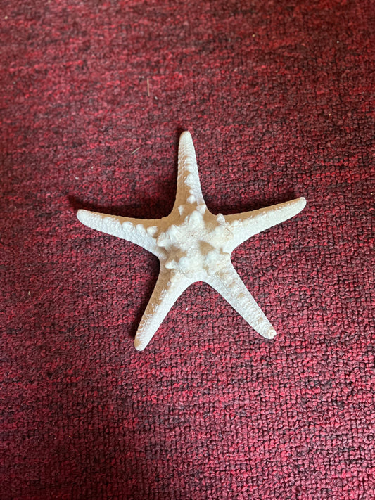 Star Shell